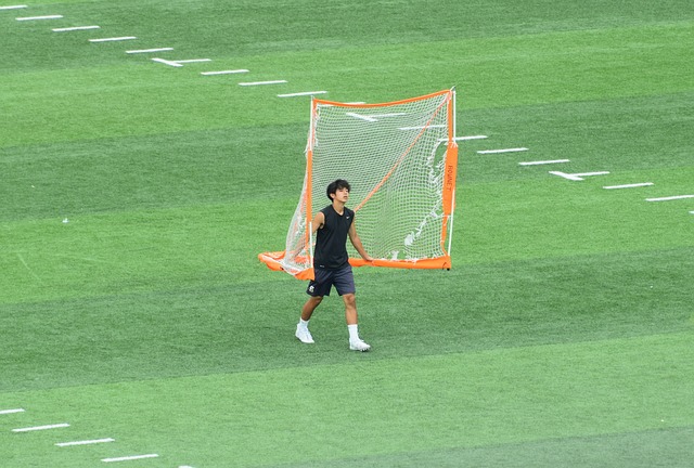 职业