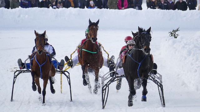 赢得了场上 赢得了场上
