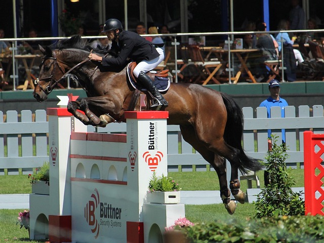 维护体育赛 维护体育赛