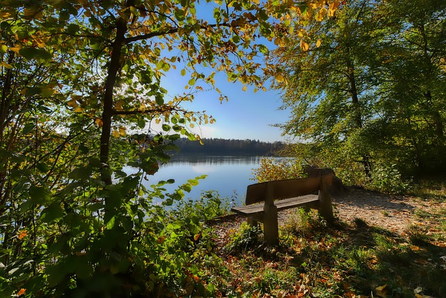 迅速成为 迅速成为