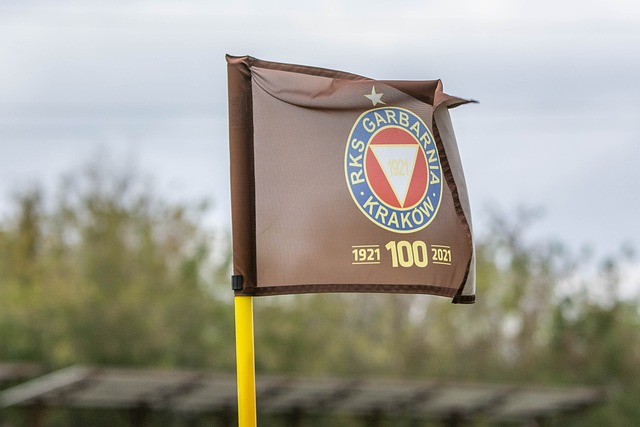 另一方面则 另一方面则