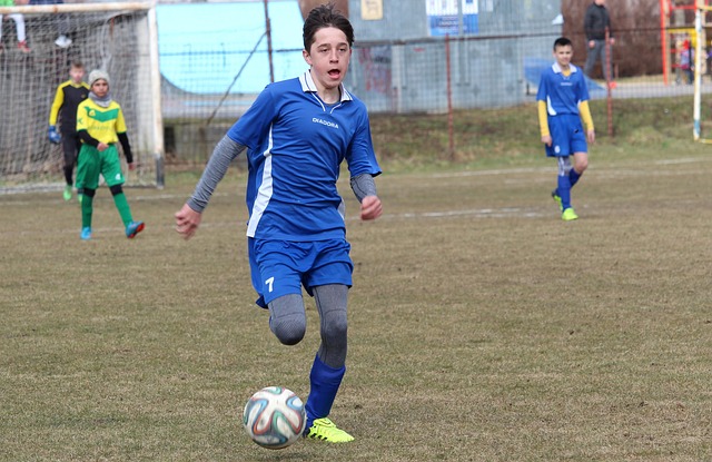 使得上海申 使得上海申