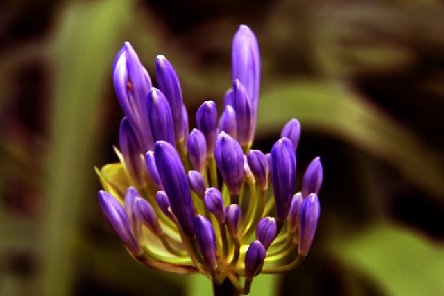 可能在未来 可能在未来