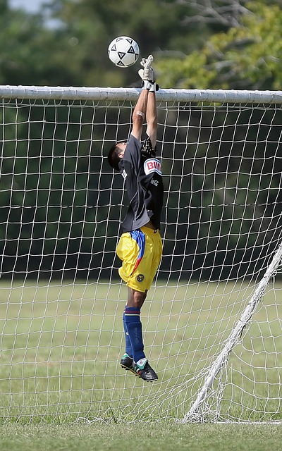 針對不同投 針對不同投